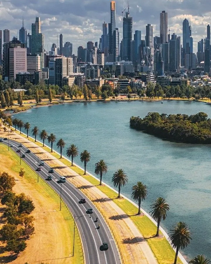 Melbourne city skyline behind Albert Park Lake and its palm-lined foreshore